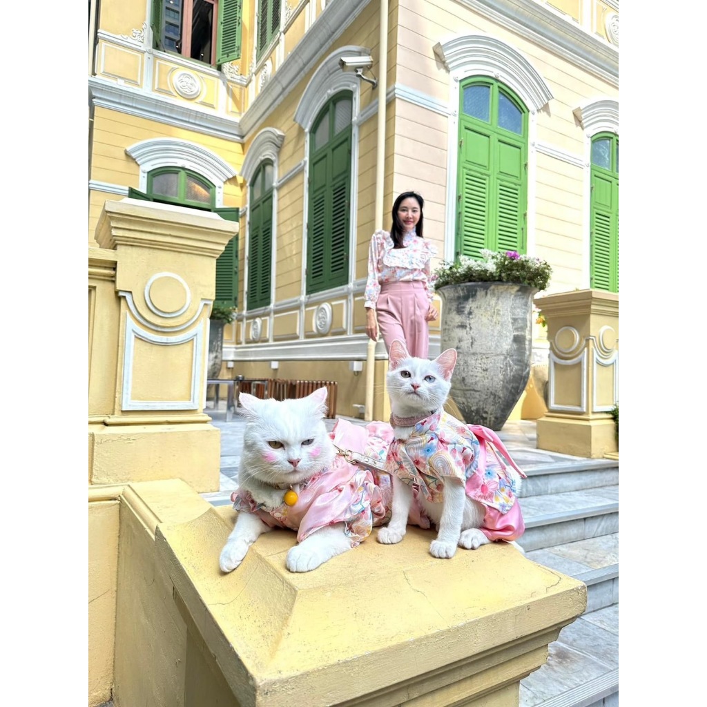 ชุดไทยหมา แมว ตัวเมีย ผ้าpremium silk