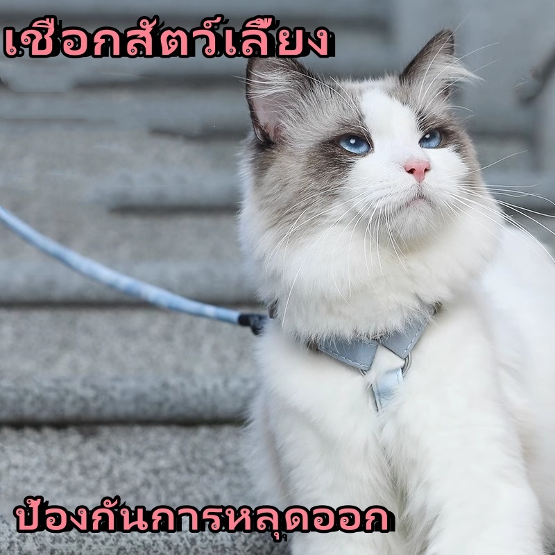 เสื้อรัดอก เสื้อหมา เสื้อแมว สายจูงหมา สุนัข สายจูงแมว สายจูงสัตว์เลี้ยง ลายตาราง