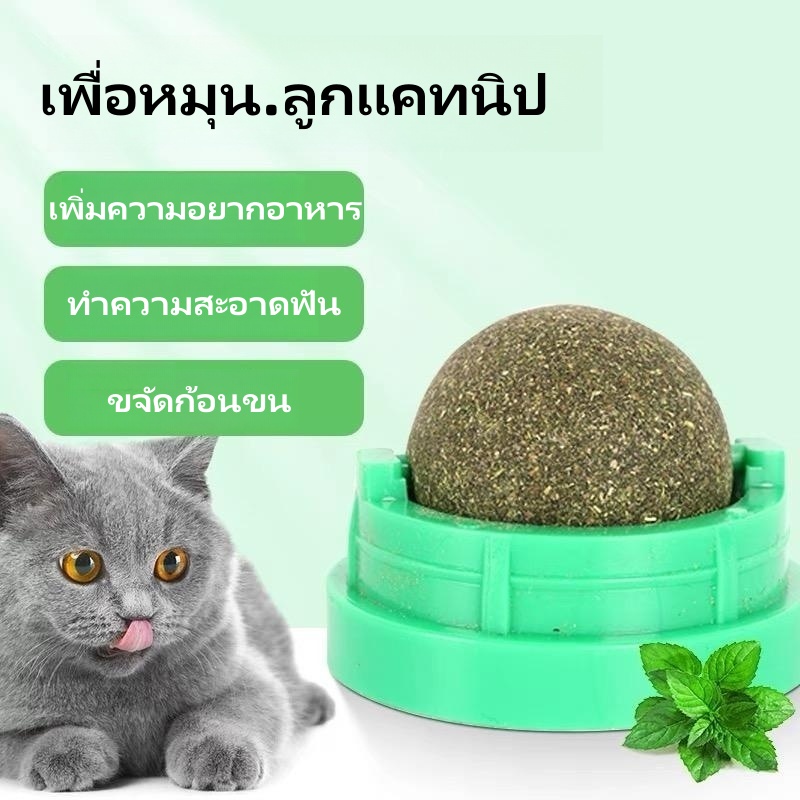 กัญชาแมว 🌿แคทนิปบอล ขนมแมวเลีย ติดกําแพง ไม่กลิ้งหาย