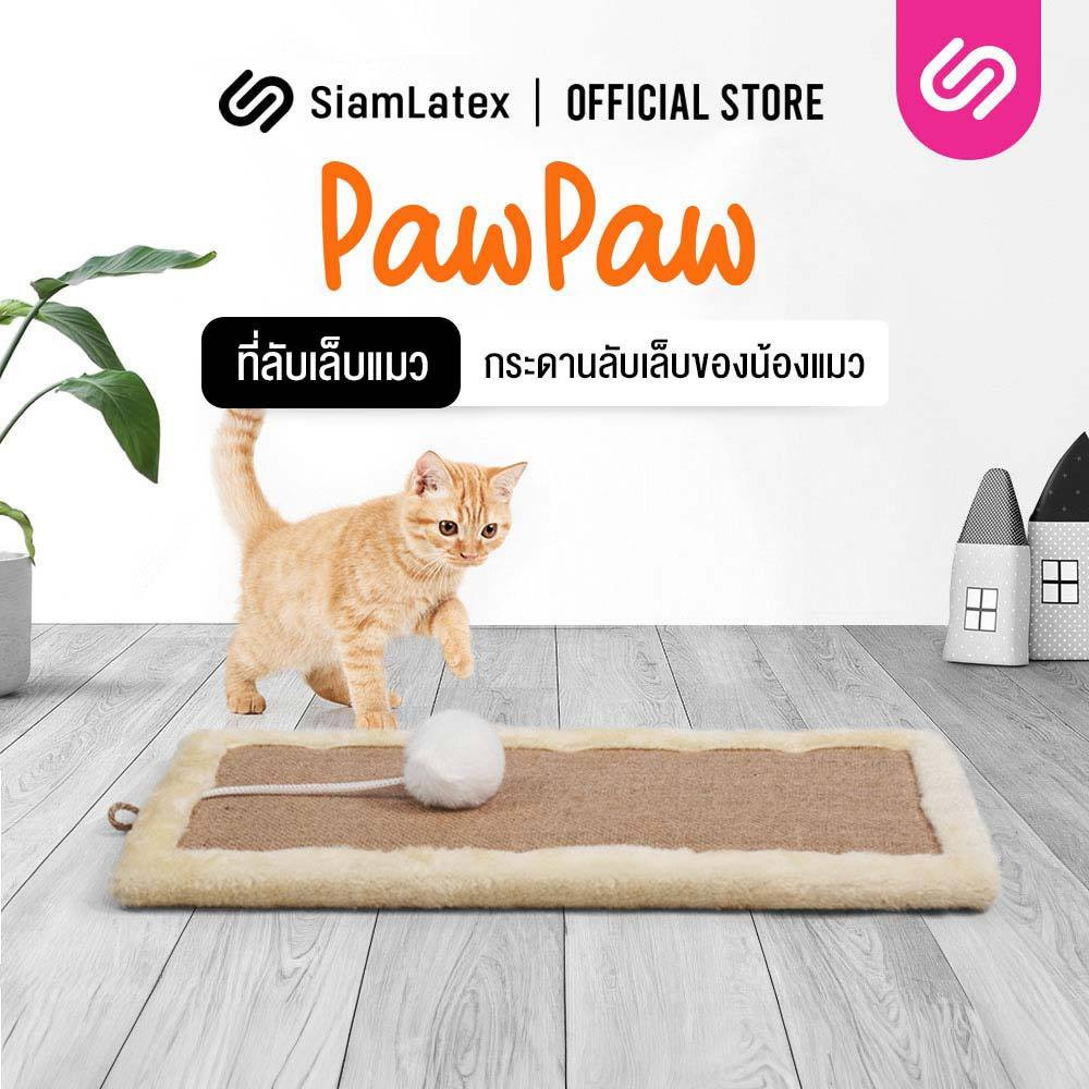 ที่ลับเล็บแมว รุ่น PawPaw ที่ฝนเล็บแมว กระดานลับเล็บแมว ช่วยลับเล็บน้องแมว