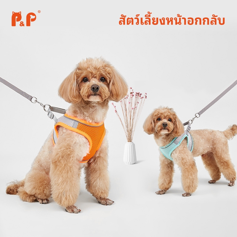 P&P:เสื้อรัดอกสุนัข เสื้อรัดอกแมว สายรัดอก สัตว์เลี้ยง พร้อมสายจูง สะท้อนแสง สวมใส่ง่าย มีหลายสี