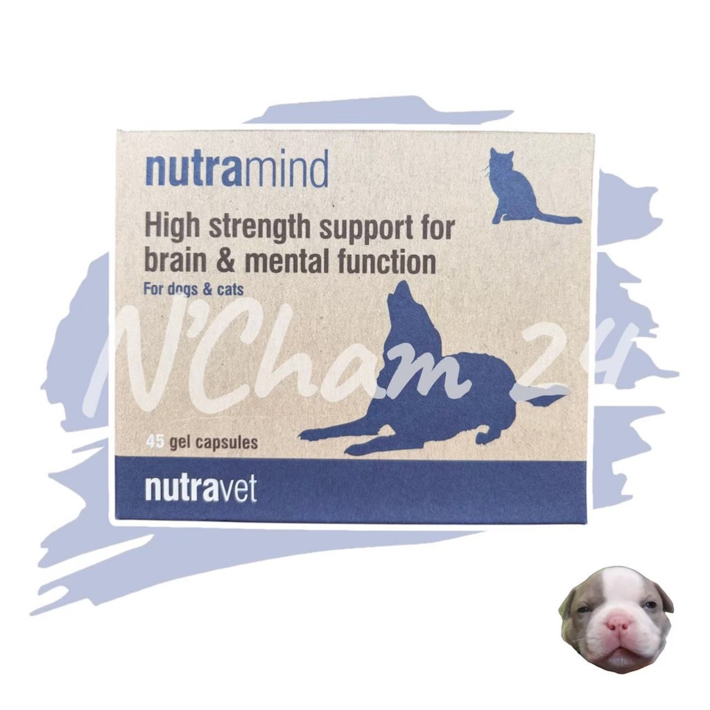 Nutravet Nutramind อาหารเสริมบํารุงสมองสุนัข บํารุงประสาทสุนัข อาหารเสริมบํารุงสมองแมว บํารุงประสาทแมว