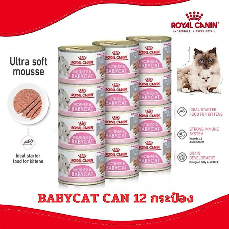 Royal Canin BABYCAT CAN กระป๋อง 1 โหล สินค้าใหม่(12กระป๋อง)
