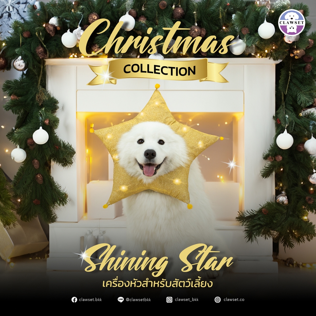 หมวกดาวระยิบระยับ ชุดสวมหัวหมาแมวแฟนซี คอสตูมเทศกาลคริสต์มาส | CLAWSET.BKK
