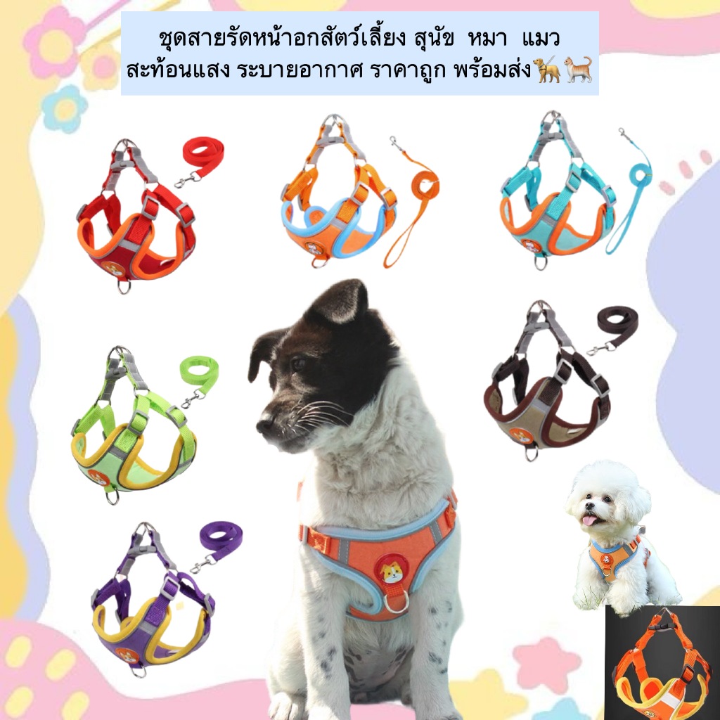 PP-535 ชุดสายรัดหน้าอกสัตว์เลี้ยง (สะท้อนแสง) เหมาะสําหรับสุนัขและแมว ใช้งานง่าย สวมใส่สบาย ระบายอากาศดี