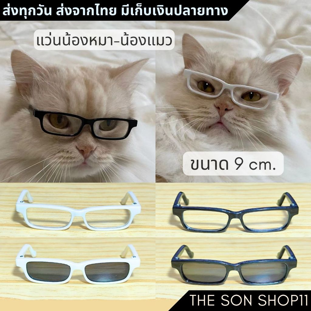 แว่นหมา แว่นแมว แว่นตุ๊กตา
