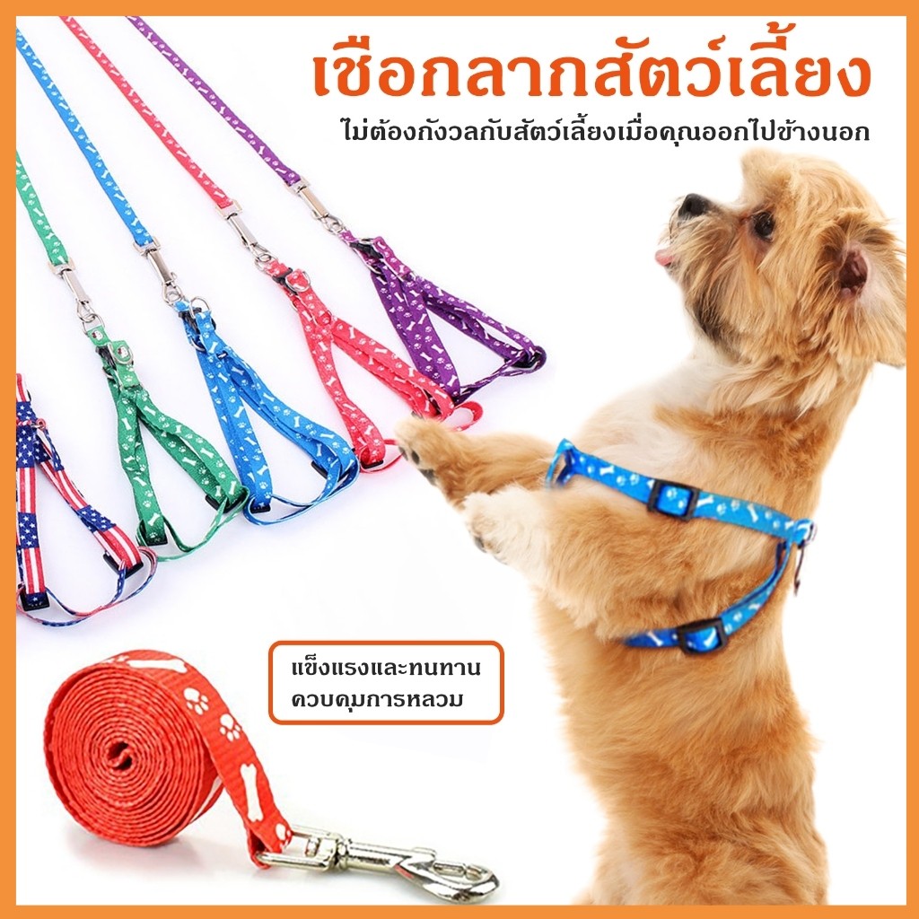 เชือกดึงสัตว์เลี้ยง สายรัดหน้าอกพิมพ์ลาย เข็มขัด สายจูงสุนัข เชือกลากแมว เชือกลาก 7 สี