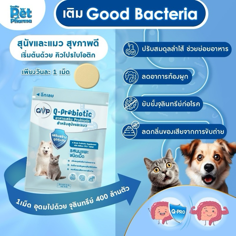 Q Probiotic โพรไบโอติก สุนัขและแมว สร้างภูมิคุ้มกัน ลําไส้แข็งแรง ลดท้องผูก ท้องเสีย ลดกลิ่นอึ