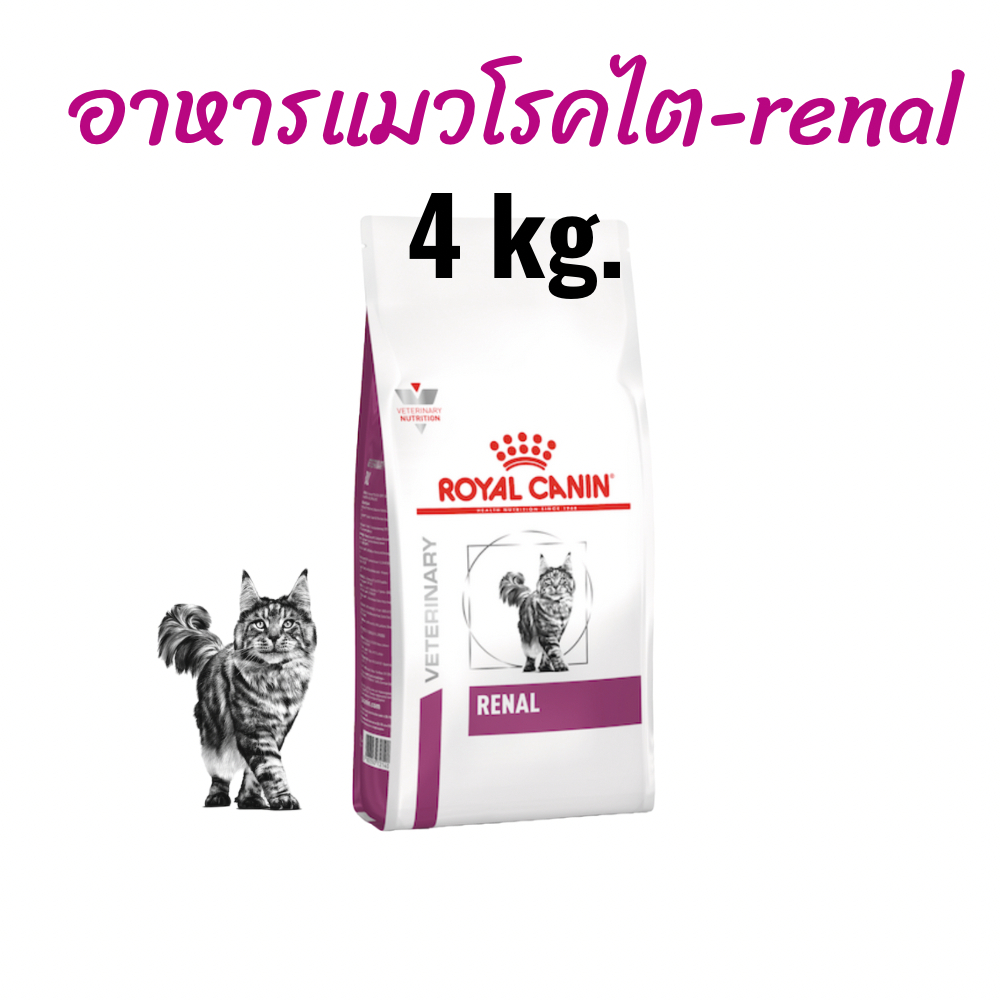 หมดอายุ : 10/09/2027) royal canin อาหารแมวโรคไต renal ขนาด 4 กิโลกรัม
