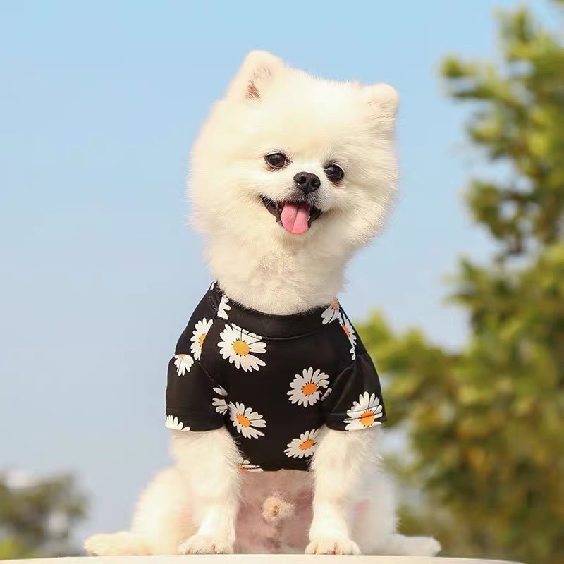 เสื้อน้องหมาแมว เสื้อลายดอกเดซี่ ชุดเสื้อผ้าสัตว์เลี้ยง แฟชั่นฤดูร้อน ระบายอากาศได้ดี