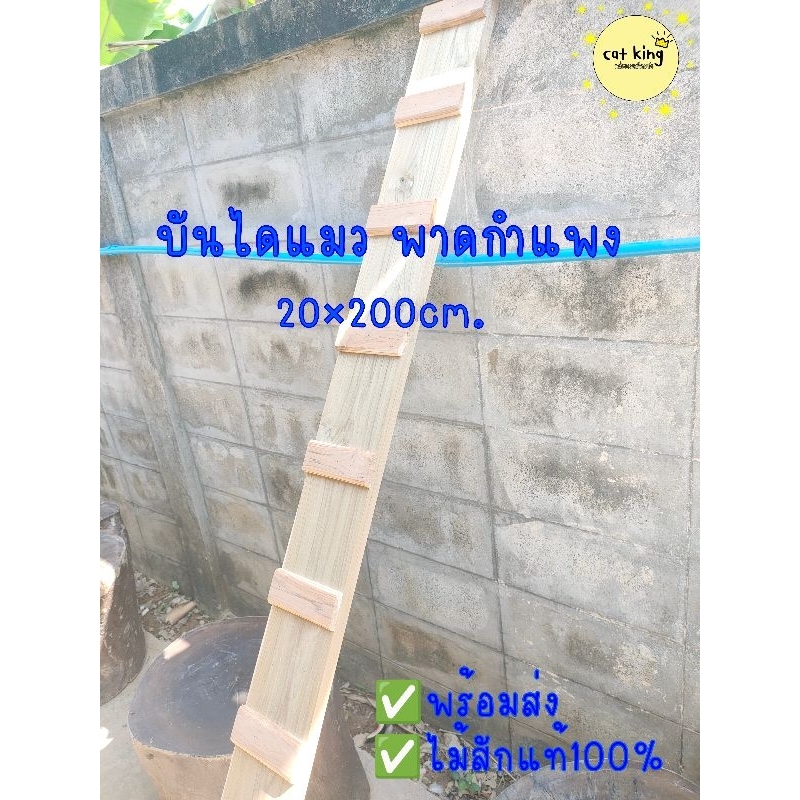 บันไดเเมว พาดกําแพง กล่องแมวติดผนัง ขนาด20×200cm