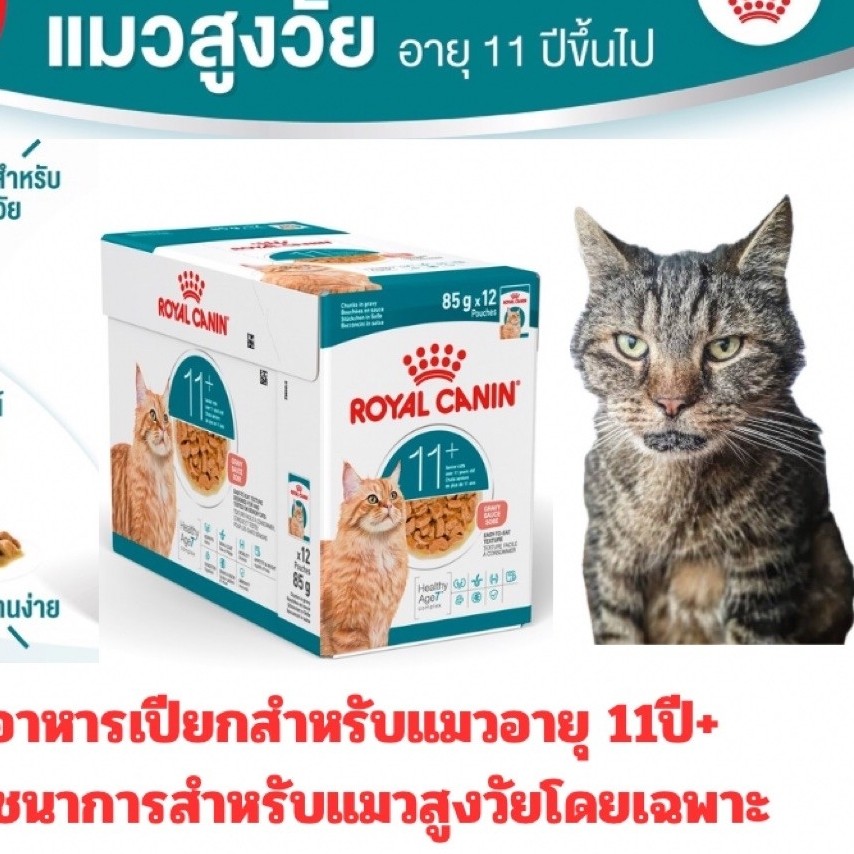 1 กล่อง 12ซอง] ROYAL CANIN อาหารแมวเปียก สูตร Ageing 11ปี+ แมวสูงวัย 12 ซอง