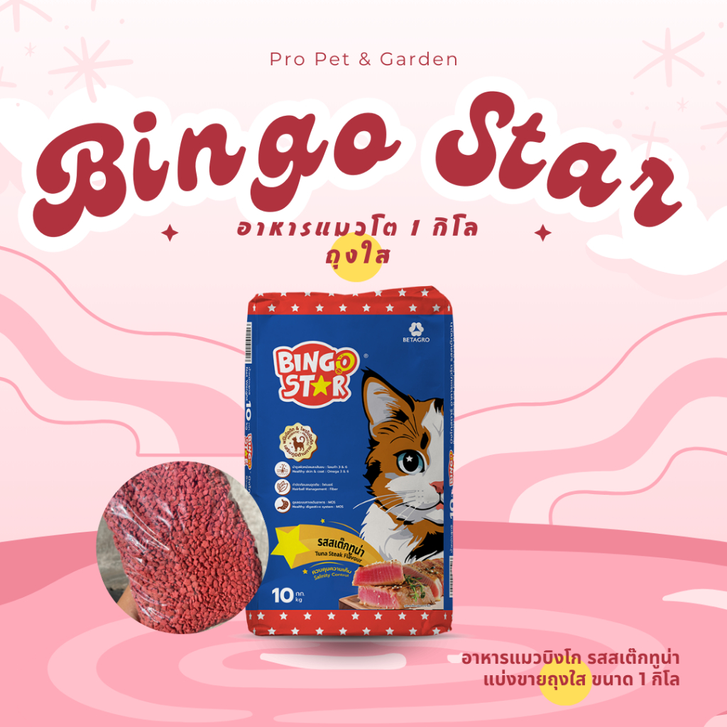 Bingo Star อาหารแมว บิงโกสตาร์ [เลือกรสได้] 1กก