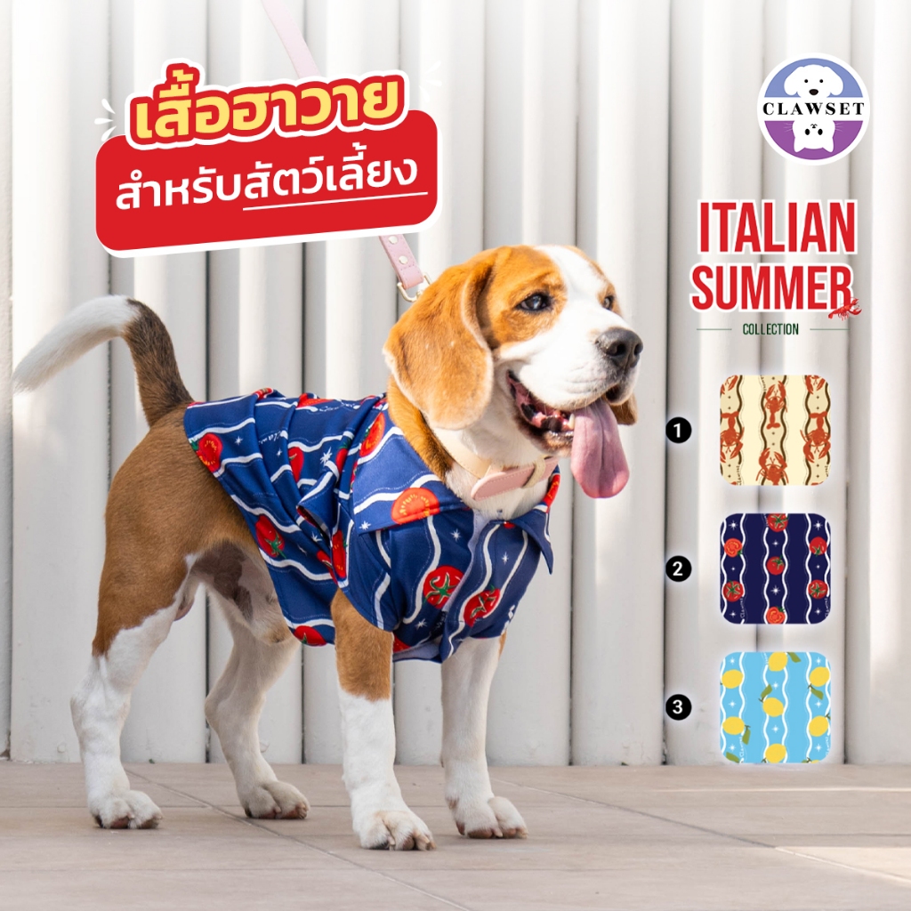เสื้อหมาแมว เสื้อเชิ๊ตคู่ฮาวาย Italian Summer เฉพาะเสื้อสัตว์เลี้ยง | CLAWSET.BKK
