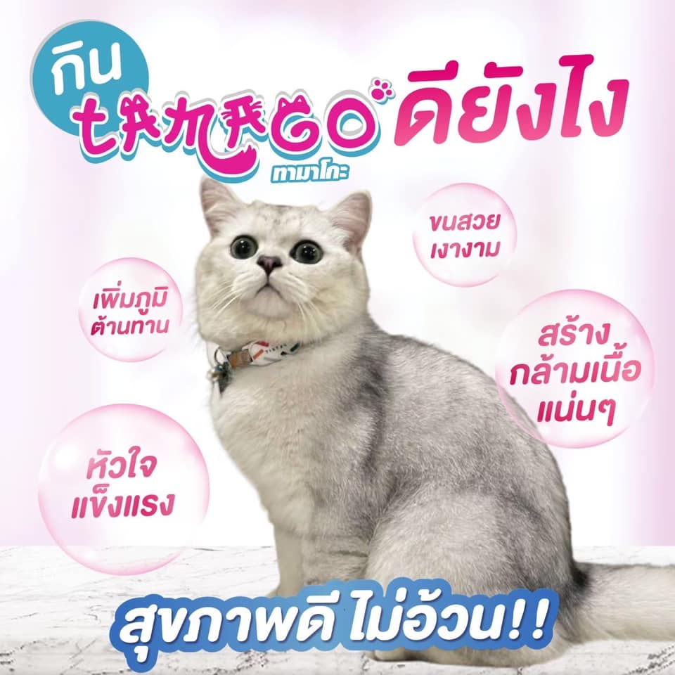 exp12/2027 ล็อตใหม่* Tamago ทามาโกะ ขนมแมวเลีย แมวโรคไตทานได้ (1แพ็คมี 6ซองเล็ก)