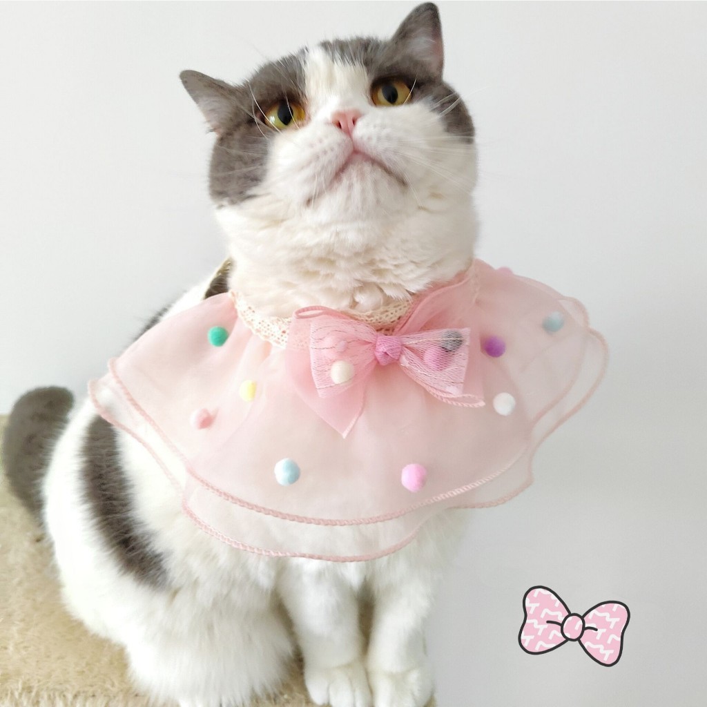 PEKO PET&CAT [ปลอกคอ097] ปลอกคอสัตว์เลี้ยง แมว-สุนัข มีไซส์ สไตส์เจ้าหญิงผ้าชีฟองสีพาสเทล สวยหวาน