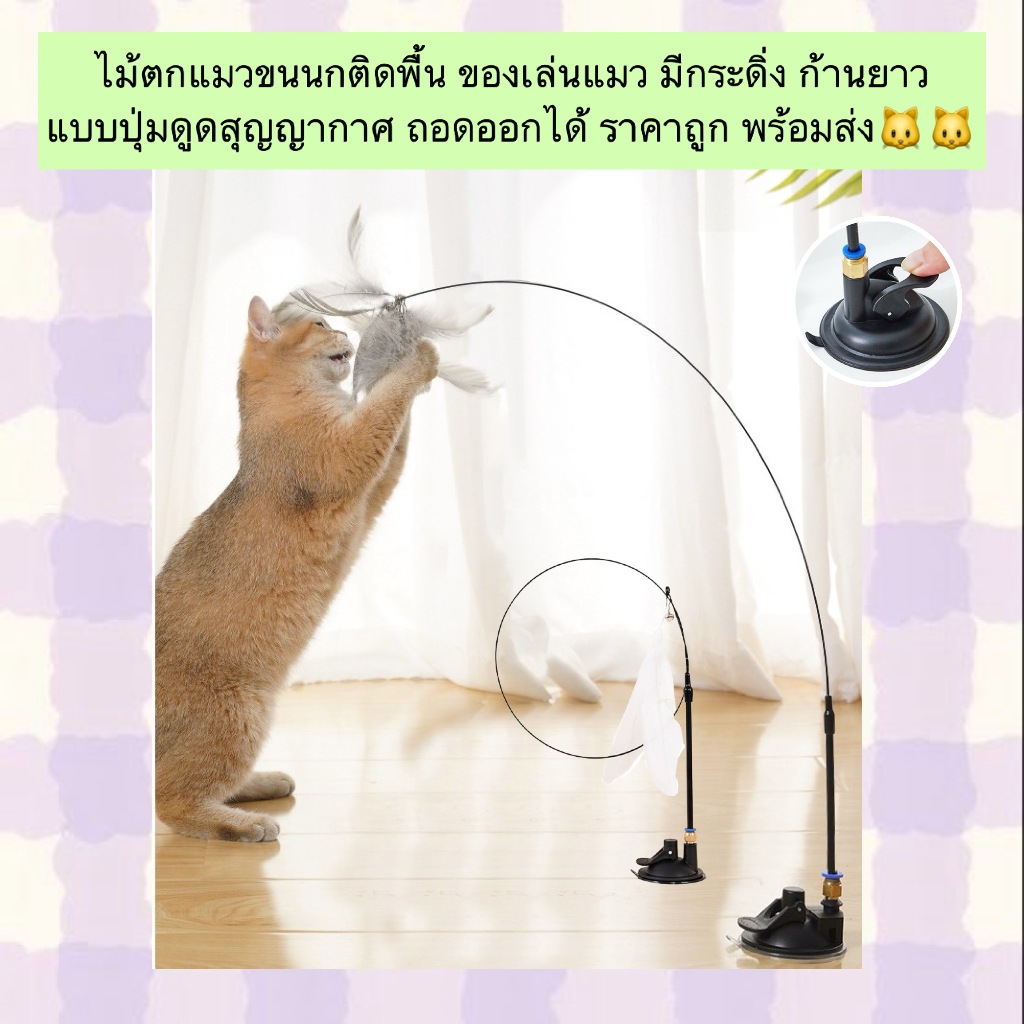 PP-801 ไม้ตกแมว ขนนกติดพื้น มีกระดิ่ง เสียงกรุ๊งกริ๊งน่ารัก 💕 ตั้งพื้นได้ ดูดสุญญากาศแน่นหนึบ ถอดเก็บง่าย
