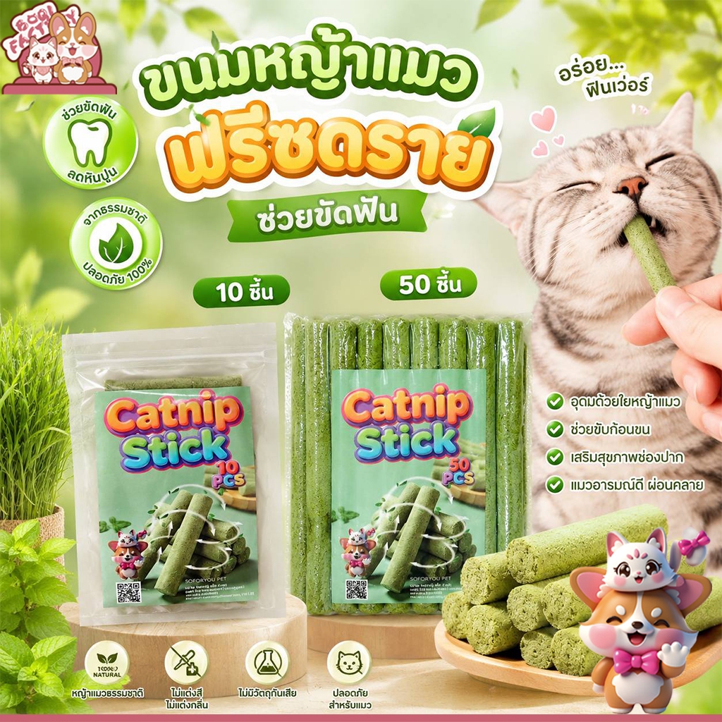 ขนมหญ้าแมว ผลิตจากต้นอ่อนข้าวสาลี ช่วยขัดฟัน 1 ถุง บรรจุ 10 ชิ้น Catnip Sticks 10pcs