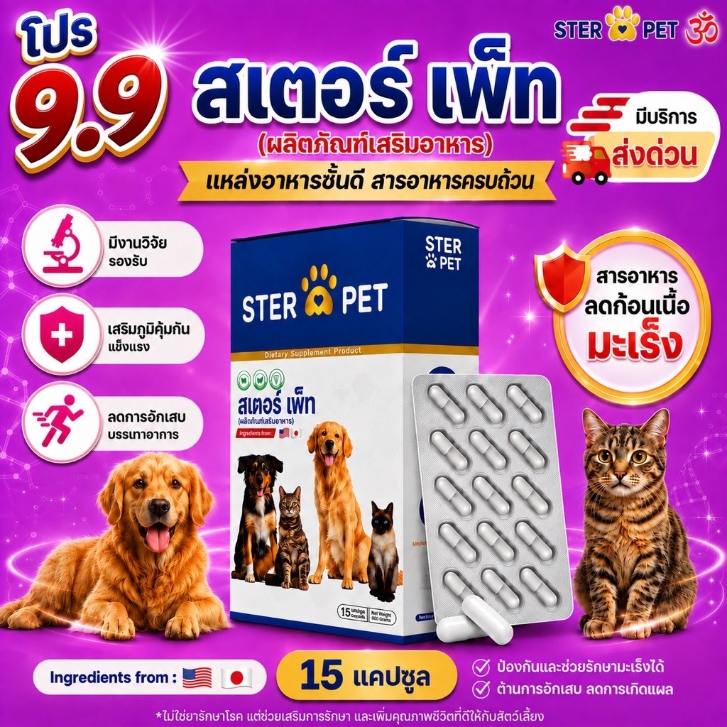 ชุดทดลอง 1 กล่อง ] Ster Pet (ของแท้) 15 แคปซูล เสริมภูมิคุ้มกันน้องหมาแมว เนื้องอกมะเร็ง ทุกระยะ