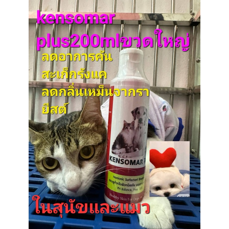 Kensomar plus shampoo แชมพูสําหรับสุนัขและแมว1ขวด200ml