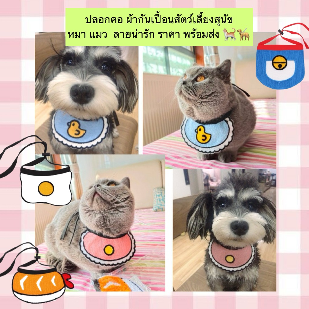MG-809 ปลอกคอผ้ากันเปื้อนสําหรับสัตว์เลี้ยง 🐶🐱 สุนัข แมว ลายน่ารัก สีสันสดใส ราคาถูก