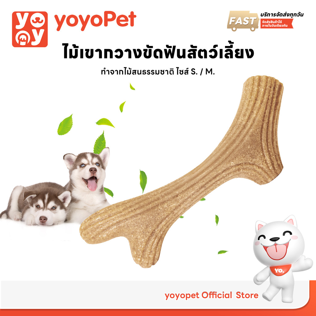 ไม้กัด ขัดฟันสุนัข ไม้กัดของเล่นสุนัขและแมว ไม้เขากวาง ขัดฟันสะอาด กัดเพลิน ปลอดภัย