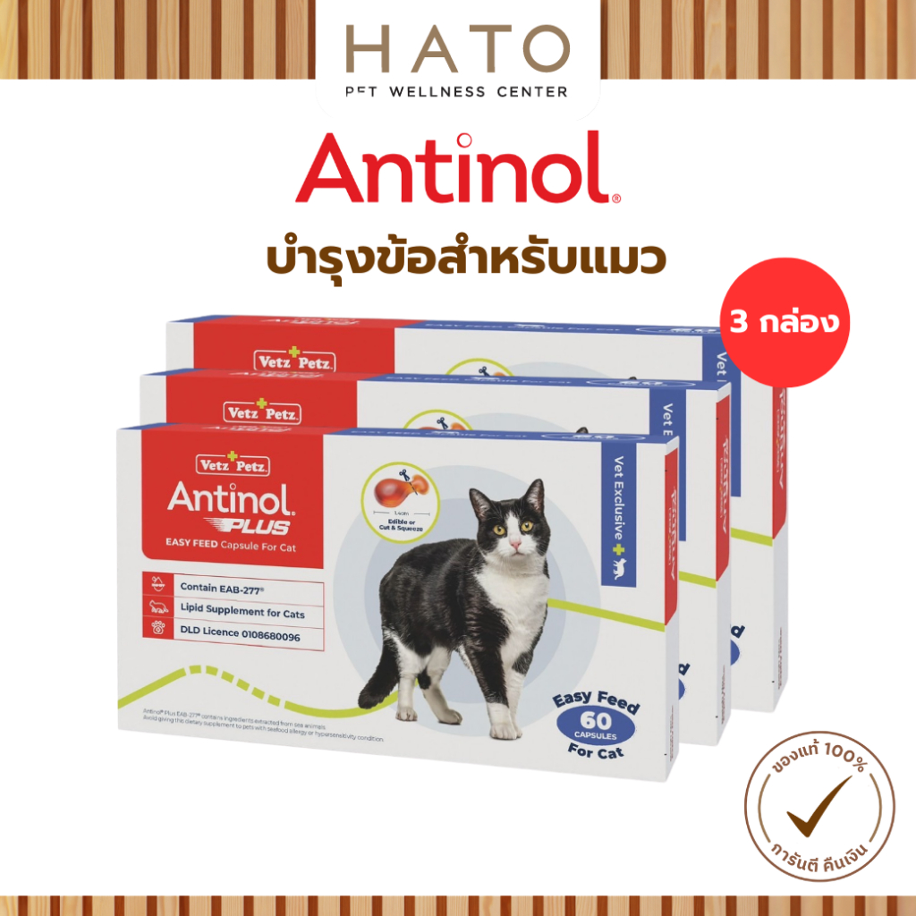 Antinol Cat แอนทินอล อาหารเสริมไขมัน บํารุงข้อ สําหรับแมว 3 กล่อง (180 เม็ด) Vetz Petz