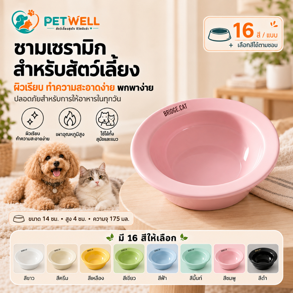 ชามอาหารแมวเซรามิค PETWELL แฮนด์เมด มีทั้งผิวด้านและผิวเงา หลายสีให้เลือก สําหรับแมวและสัตว์เลี้ยง 175ml