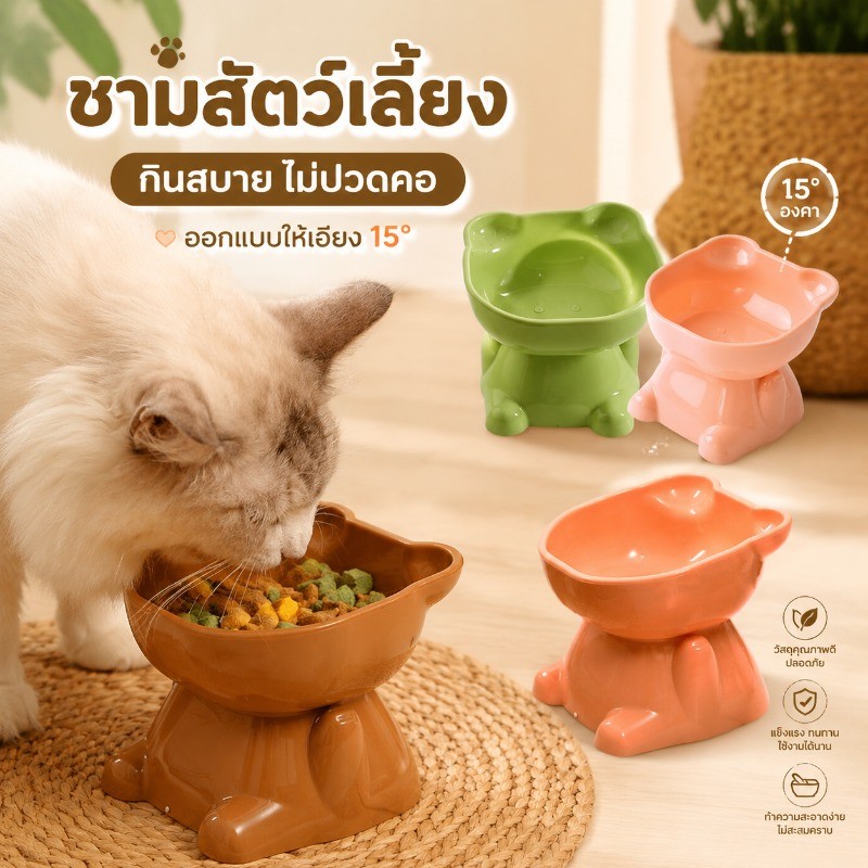 ชามหมี ชามให้น้ําอาหารสัตว์เลี้ยง ชามหมา ชามแมว แบบทรงสูง-เอียง 15 องศา
