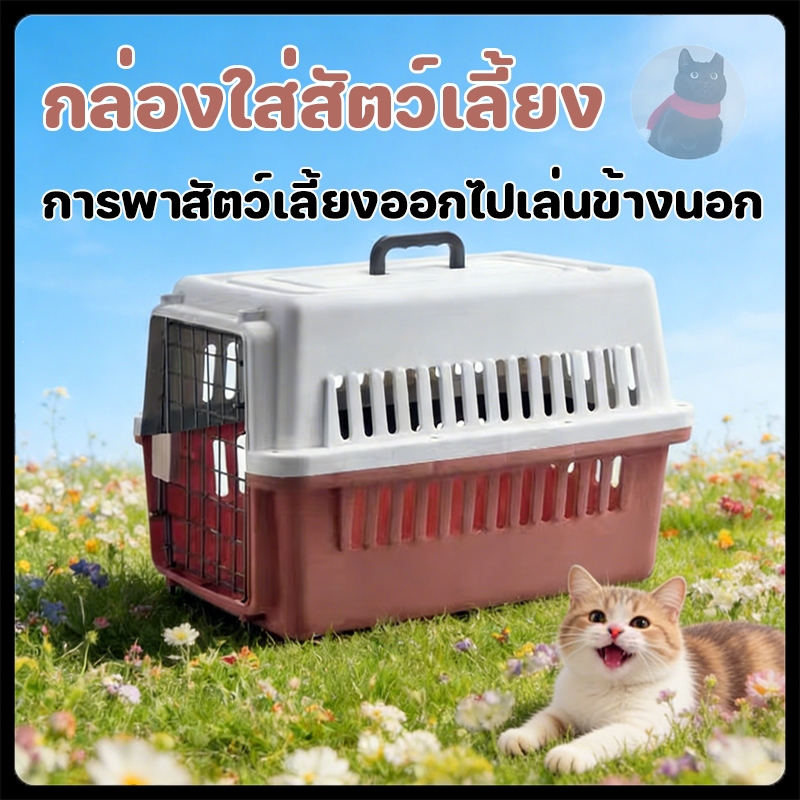 กรงหิ้ว กล่องใส่สัตว์เลี้ยง กรงเดินทาง สําหรับสุนัขและแมว แถมตะแกรงรอง ล็กพกพาง่า
