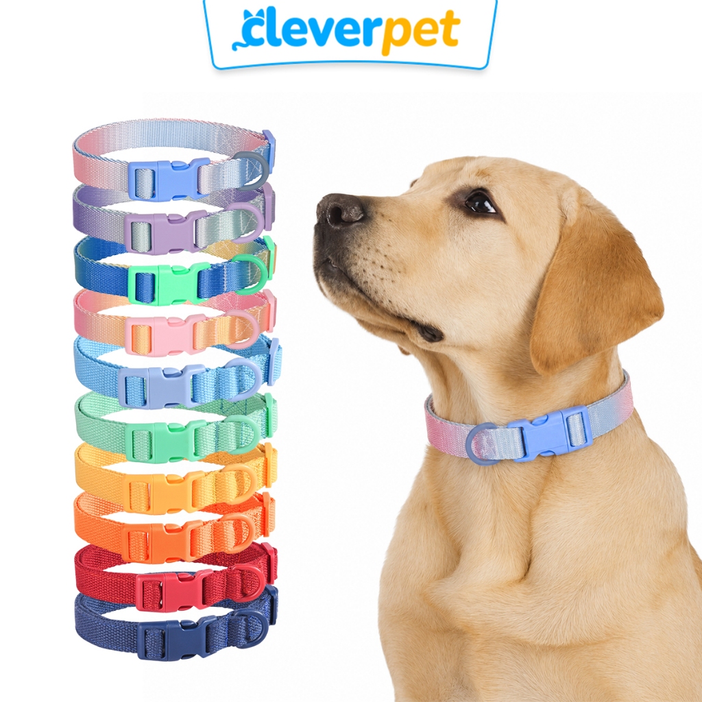 CleverPet ปลอกคอสุนัข สีพาสเทล ปลอกคอสัตว์เลี้ยง ปลอกคอแมว สายจูงสุนัข Dog Collar