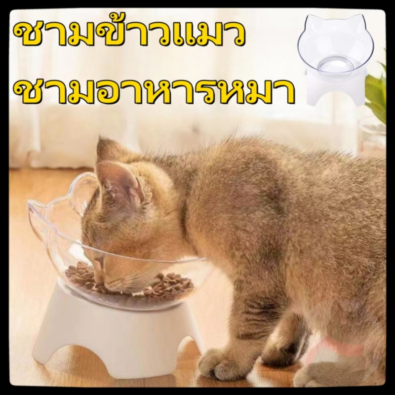ชามแมว ชามอาหารหมา ชามใส่อาหารสําหรับสัตว์เลี้ยง ชามปรับองศา