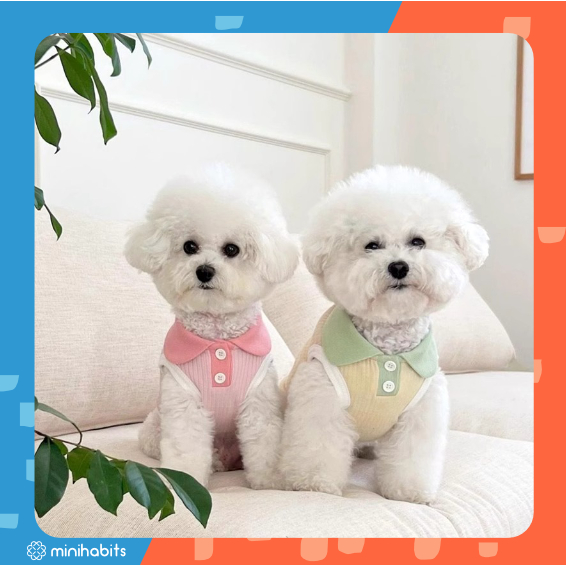 เสื้อโปโลสัตว์เลี้ยง แขนกุด Chiyoko Macaron Pet Polo เสื้อยืดแมว ชุดสัตว์เลี้ยง สุนัข