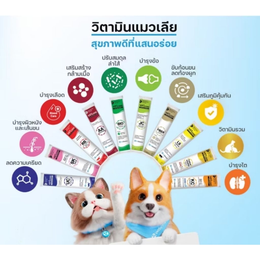 ขนมแมวเลีย VFcore อาหารเสริม ป้อนง่าย ไม่ต้องบังคับ อาหารเสริมในรูปแบบขนม อร่อย กินง่าย น้องๆชอบ สจ