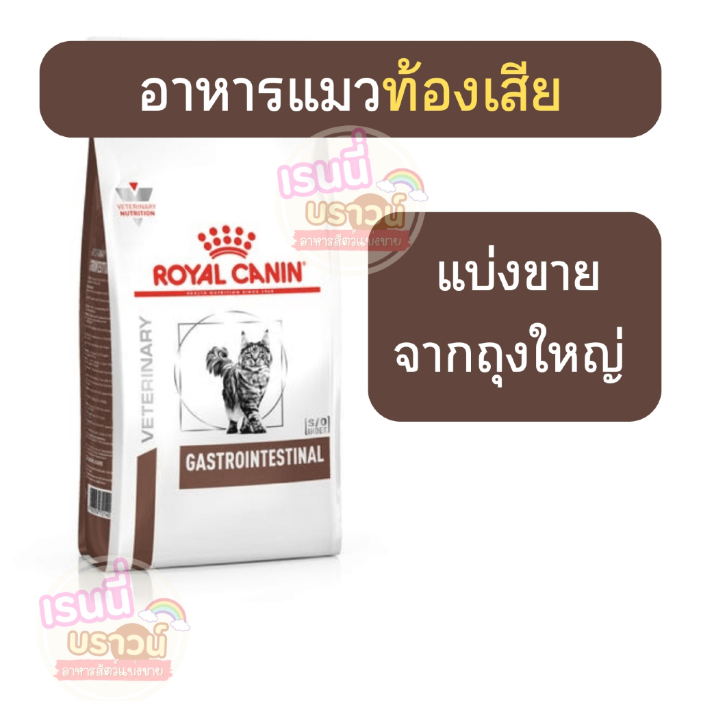 แมวท้องเสีย]] (( )) Royal Canin Gastro intestinal โรยัล คานิน อาหารแมวท้องเสีย