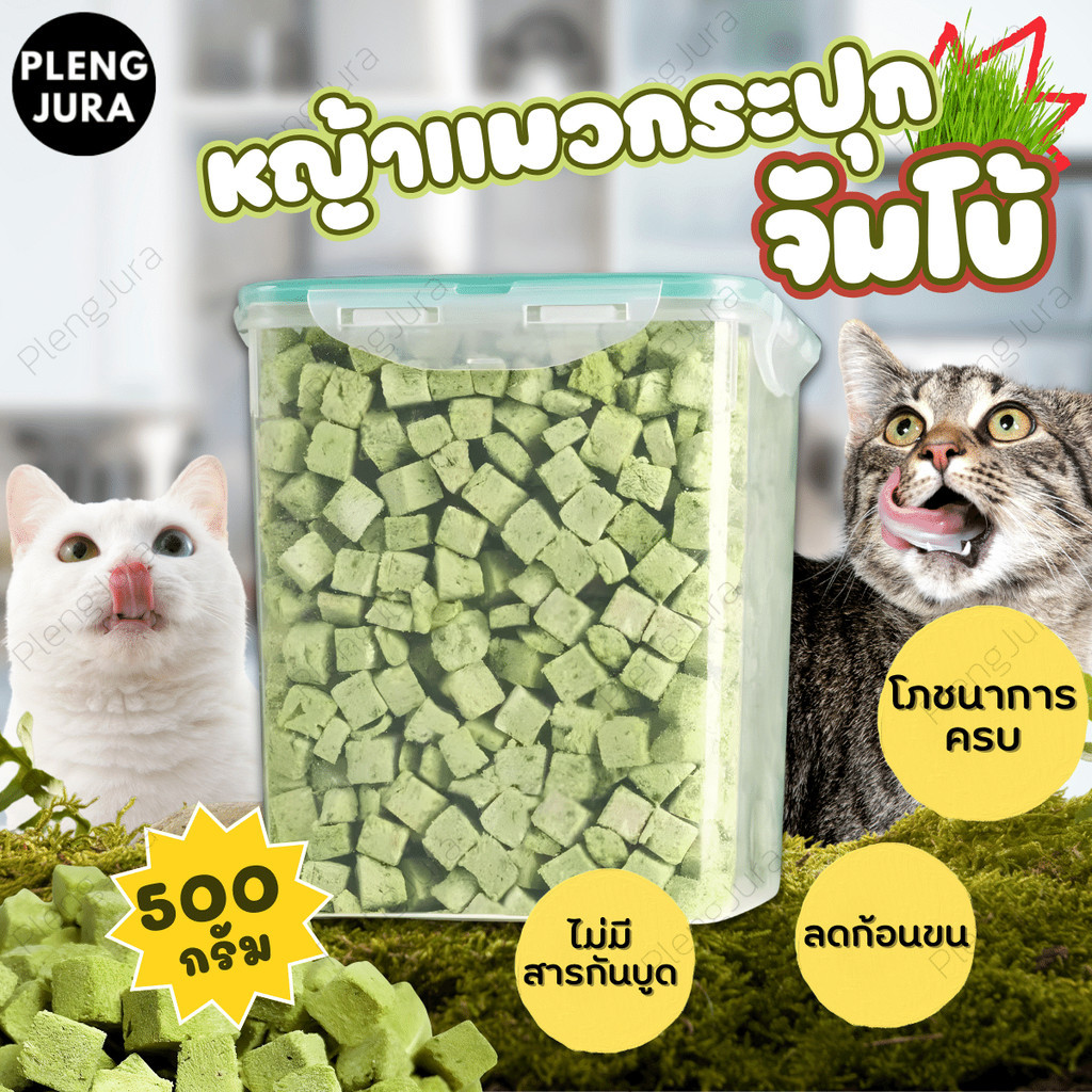 หญ้าเเมวฟรีซดรายกระปุกขนาดจัมโบ้ 500กรัม ขนมแมวฟรีซดราย อกไก่ผสมต้นอ่อนข้าวสาลี ช่วยสํารอกก้อนขน สุขภาพลําไส้เเข็งเเรง