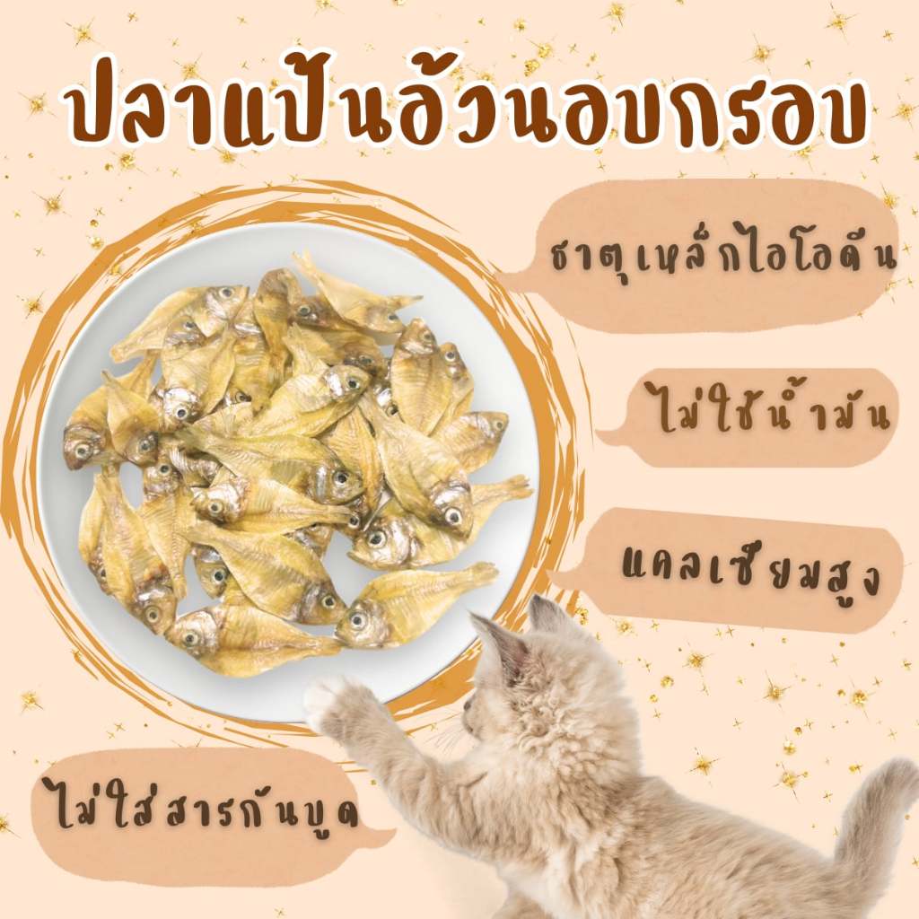 ปลาแป้นอ้วนอบแห้ง ตาก อบแห้ง ไม่ปรุงรส ทานได้ทั้งคนสุนัขแมว ไม่ใส่วัตถุกันเสีย เสริมแคลเซียม