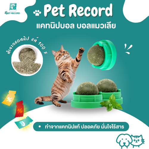 Pet Record กัญชาแมว แคทนิปบอล ติดกําแพง ไม่กลิ้งหาย กันชาแมวเลีย แคทนิปบอล ติดกําแพง