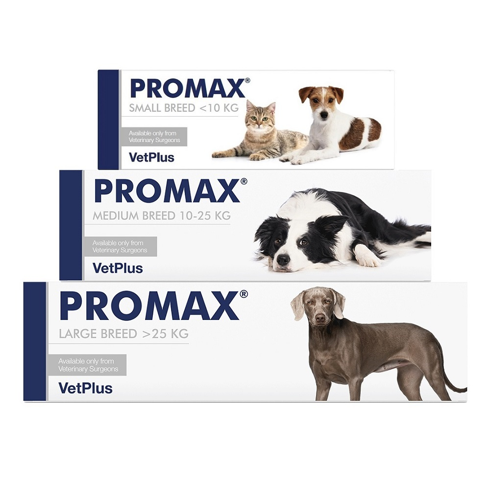 VetPlus] PROMAX for Dogs & Cats / อาหารเสริมสําหรับช่วยระบบย่อยอาหารทํางานเป็นปกติ