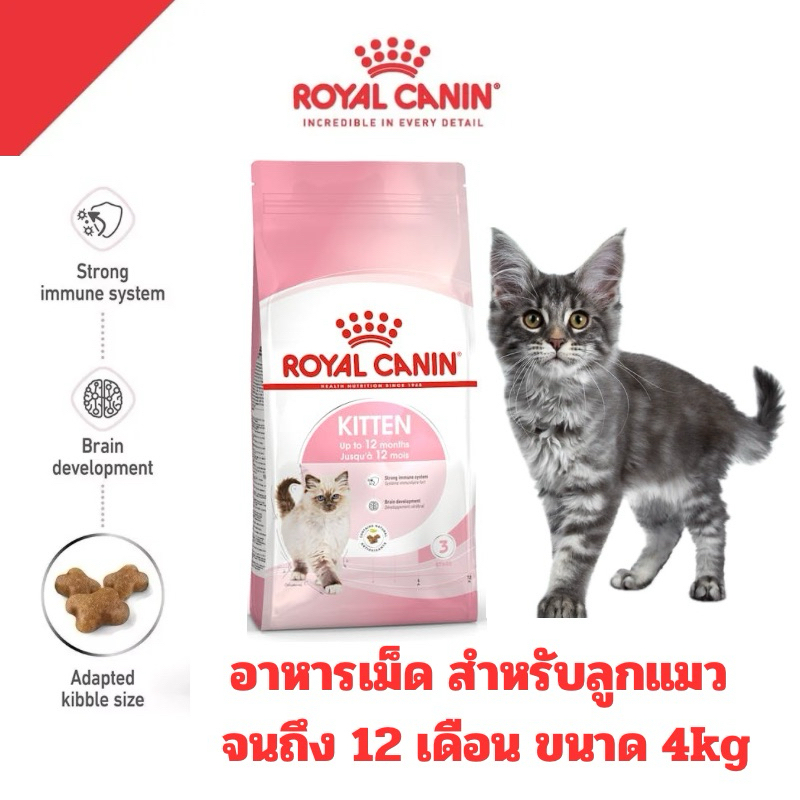 ถุง4KGคุ้มๆ] Royal Canin อาหารแมว สูตรลูกแมว KITTEN ขนาด 4 kg