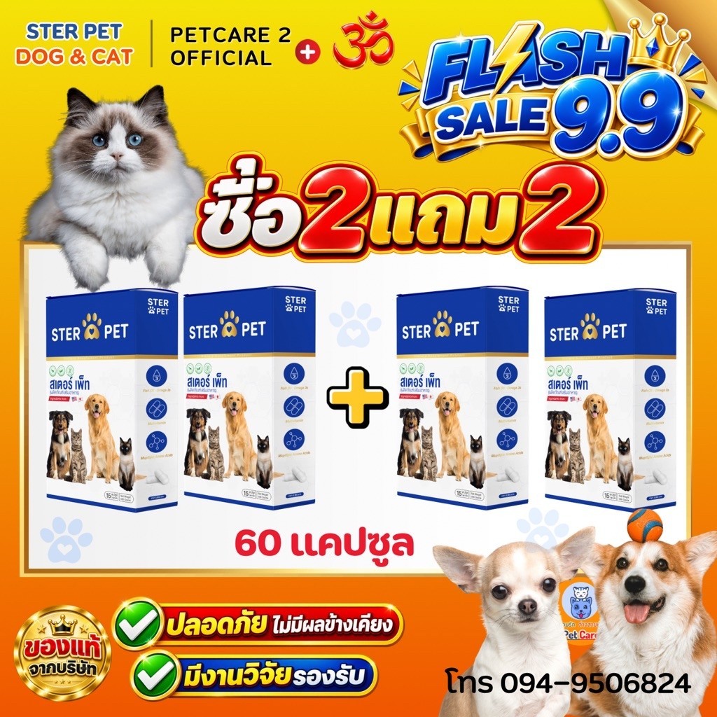 ของแท้ [ Ster Pet โปร 2 แถม 2 ] 60แคปซูล 🌟อาหารเสริมสูตรต้านมะเร็ง ลดก้อนเนื้อ หมาแมว ครบวงจร