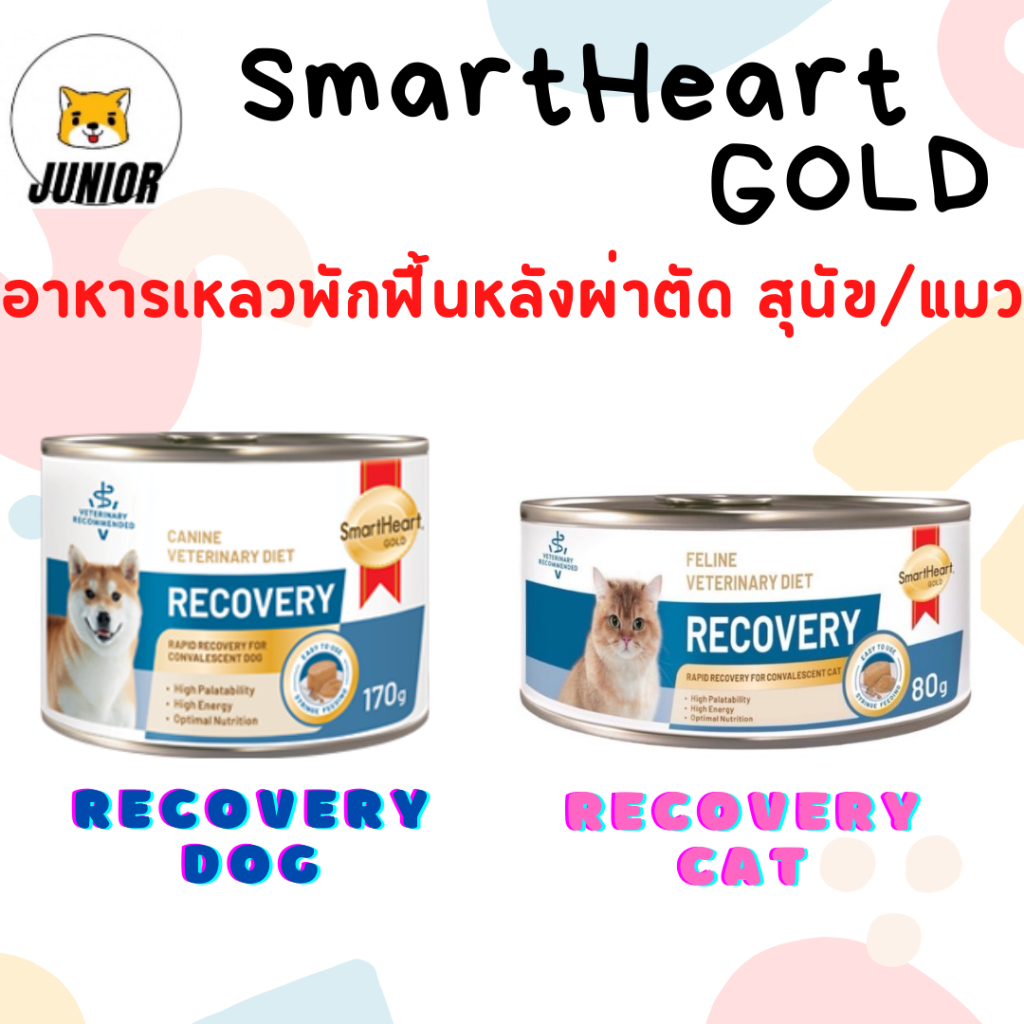 โปรดอ่านก่อนสั่ง Smart heart gold Recovery อาหารเปียกสุนัข 170ก แมว80ก สําหรับสัตว์ป่วย พักพื้น ผ่าตัด