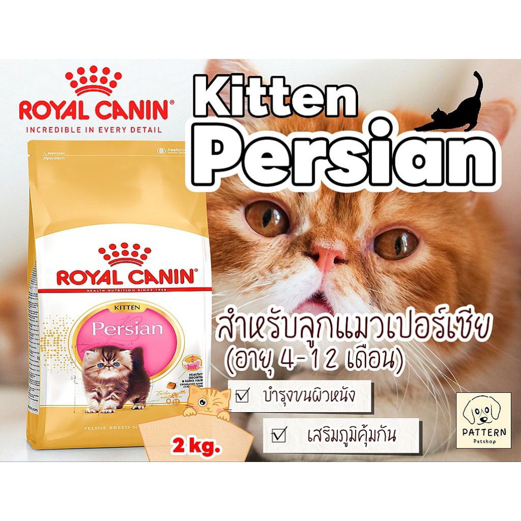 Royal Canin Persian Kitten 2 kg อาหารเม็ดสําหรับลูกแมวเปอร์เซีย อายุ 4-12 เดือน Exp.ปี 2027