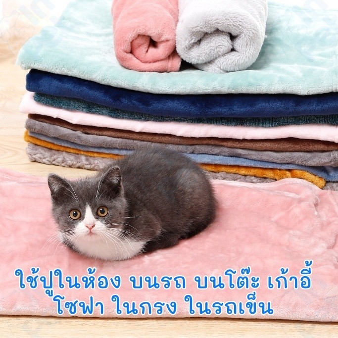 ผ้าห่มกํามะหยี่ L/XL ผ้าห่มสัตว์เลี้ยง ผ้ารองนอน สุนัข แมว ที่นอนสุนัข ที่นอนแมว (คละสี)