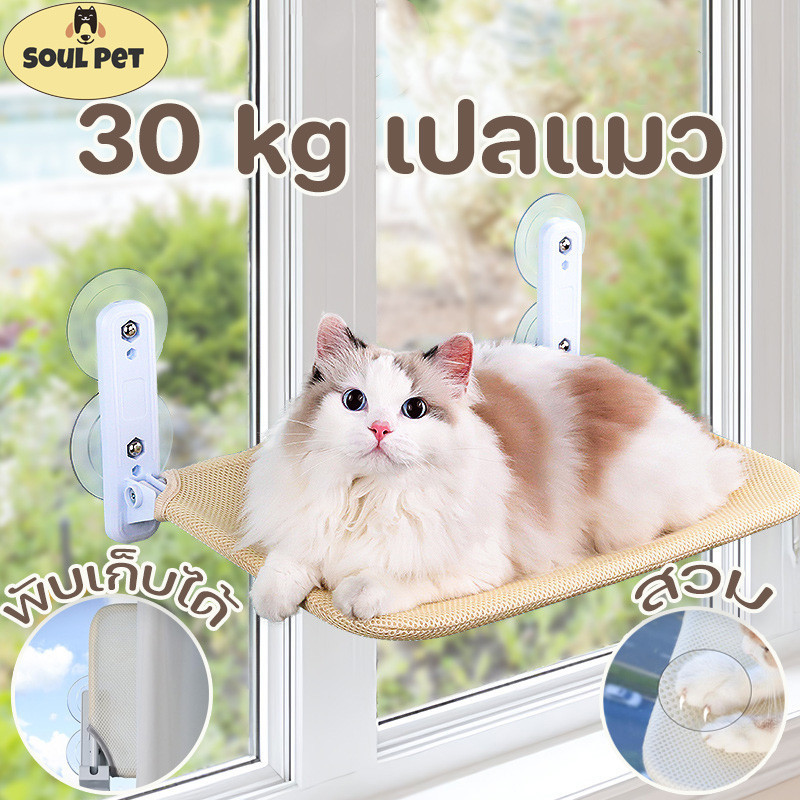 COD🐱เปลแมวติดหน้าต่าง 30 kg ถ้วยดูดที่มีประสิทธิภาพ พับเก็บได้ ติดกระจก มั่นคงและไม่หลุดง่าย