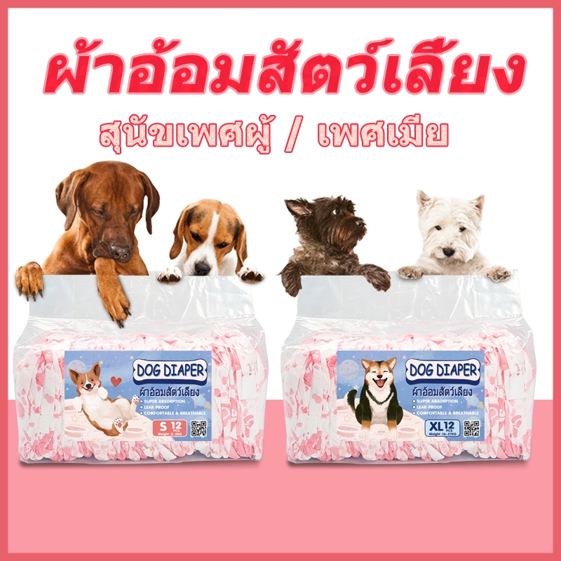 แบบใช้แล้วทิ้ง ผ้าอ้อมสุนัขเพศผู้ ผ้าอ้อมแมว ดูดซับอย่างรวดเร็ว XXS-XL แพมเพิสสุนัข เลี้ยง ผ้าอนามัยสุนัข 12-36pcs