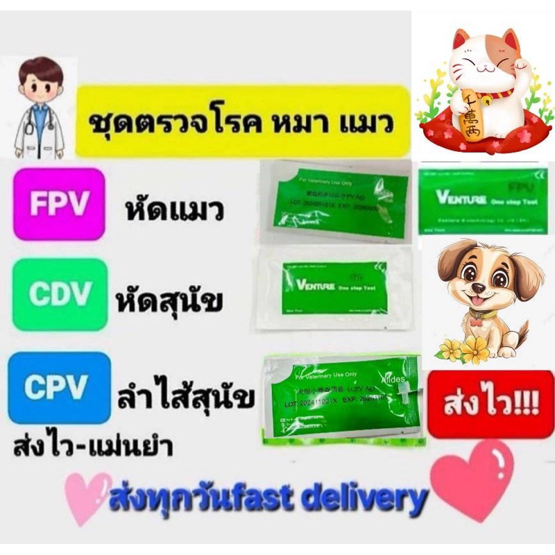 ชุดตรวจโรคสัตว์เลี้ยง ชุดตรวจโรคสุนัข แมว ไข้หัดแมว ไข้หัดสุนัข ลําไส้อักเสบสุนัข CPVtest CDVtest FPVtest