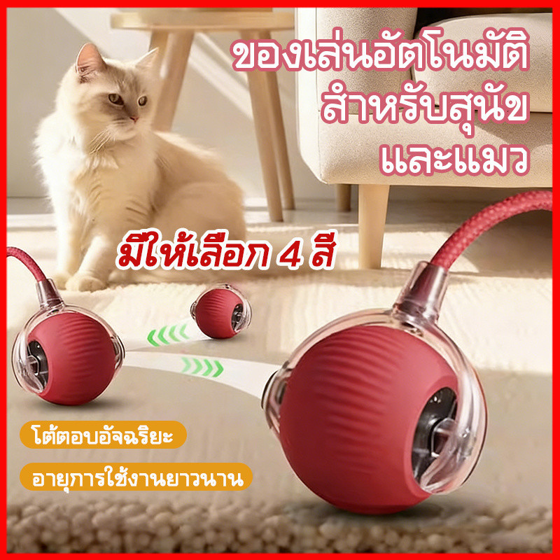 ลูกบอลแมว บอลแมวอัตโนมัติ ลูกบอลแมวอัจฉริยะ ชาร์ตแบตได้ ของเล่นแมว สมาร์ทไฟฟ้า ของเล่นแมวโต้ตอบ ของใช้แมว