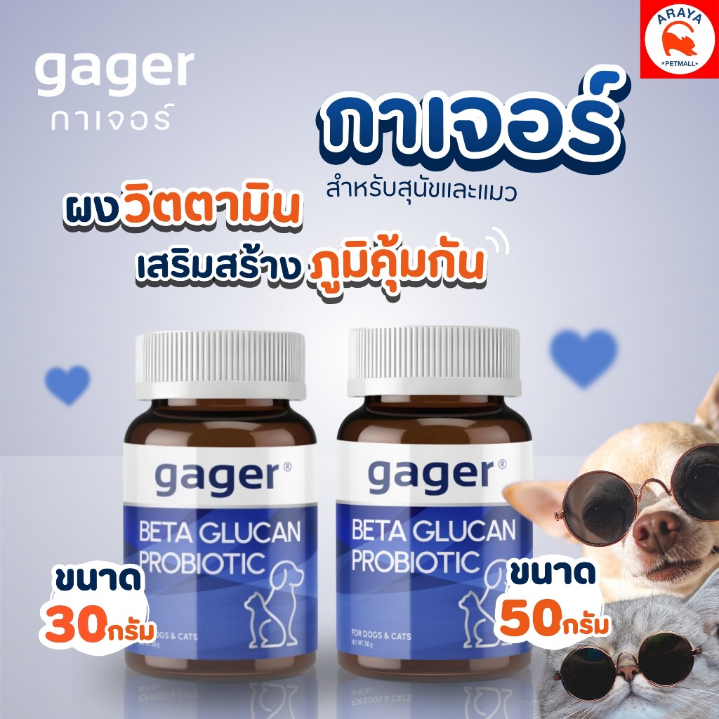 นํ้าเงิน * GAGER BETA GLUCAN PROBIOTIC ผงวิตามินเสริม สร้างภูมิคุ้มกันในสุนัขและแมว