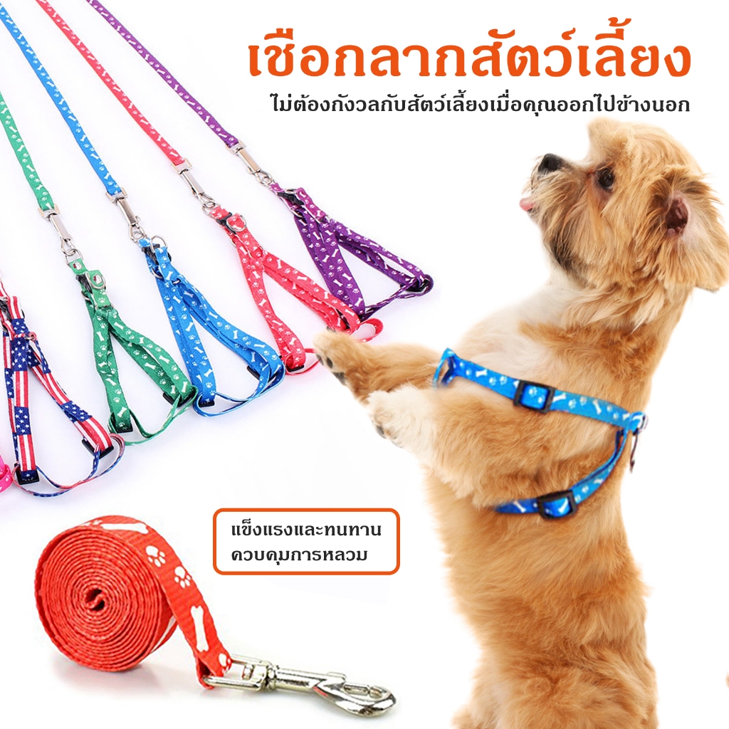 สายจูงสัตว์เลี้ยง สายรัดหน้าอกพิมพ์ลาย ชุดสายจูงสุนัข โซ่แมว เชือกสุนัข เชือกดึงสัตว์เลี้ยง 7 สี